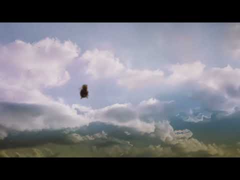Video thumbnail for Sunrise for the Lonely