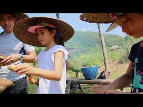 Hideaway Laos tour video