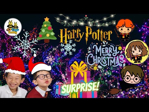 Christmas Gift Surprise 2022 | Harry Potter character Plushies & Lego review