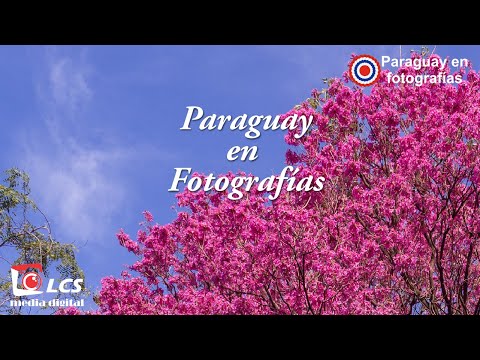 "Muchachita Campesina, Oscar Gómez" #musicaparaguaya #paraguay #asuncion #sanbernardino #luque