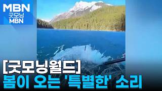 [굿모닝월드] 봄이 오는 '특별한' 소리 [굿모닝 MBN]