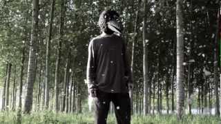 Marlene Kuntz - Il partigiano