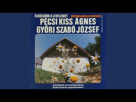 Elmegyek az életedből