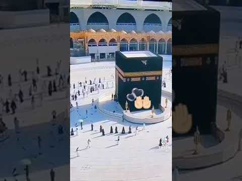 Хонаи худо