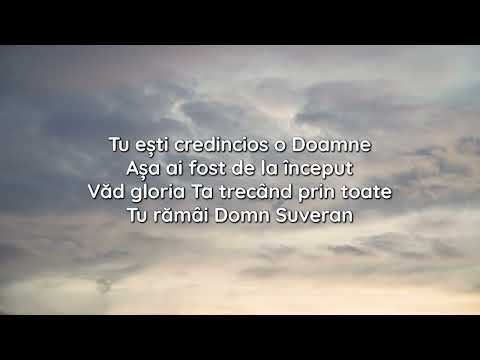 Domn Suveran - COVER 