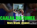 Caala Bultume 2017 New Jabaadhu Yaa WBO New Best Oromo Music Of CAALAA BULTUMEE EVER