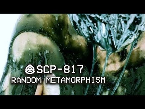 SCP-817 - Random Metamorphism ⚠️ : Object Class - Euclid : Metamorphic SCP