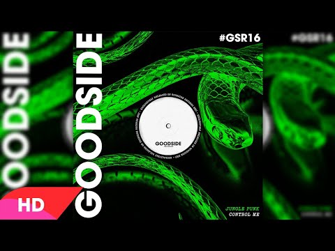Jungle Punk - Control Me ( Extended Mix )