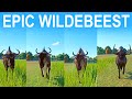 Epic Wildebeest Category Speed Race In Planet Zoo Included Eastern White Bearded Wildebeest