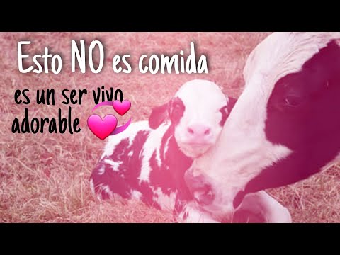 Esto es para mi SER VEGANA 🌿