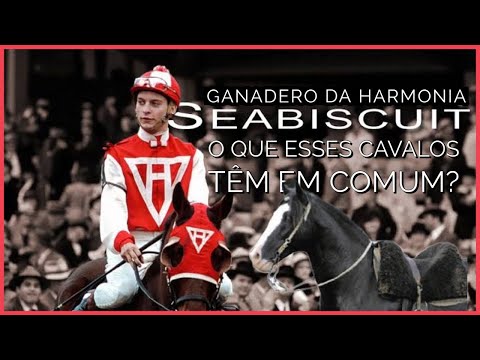 GANADERO DA HARMONIA -CAVALO CRIOULO