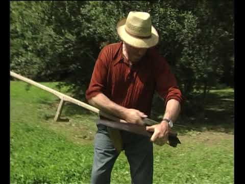 La jornada dels dalhaires