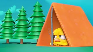 Chicky doesn't like camping | Where's Chicky? | Cartoon Collection in English for Kids | HD