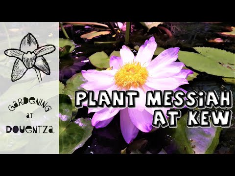 The Plant Messiah - Behind the Scenes at Kew (5 of 7)