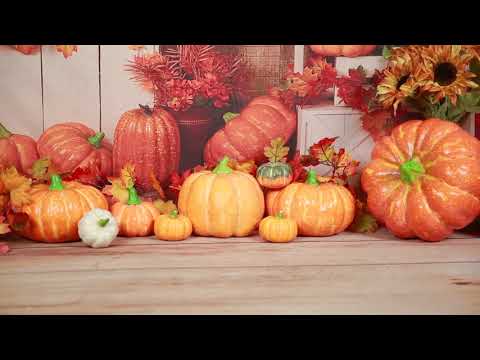 2020 Autumn/Fall/Thanksgiving Photography（A must-have photo backdrop）
