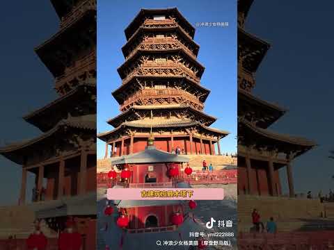 善待小动物的山西真的值得夸夸 #山西  #猫咪  #守护神 #大橘为重 #应县木塔