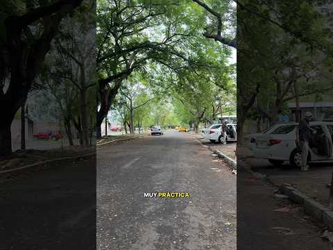 Colonia Satélite de Oriente en San Miguel El Salvador Tour