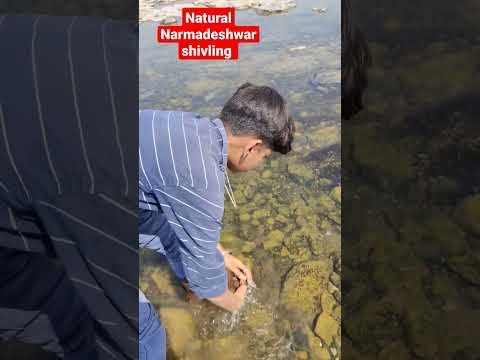 natural shivling kis prakar se milte Hain#Narmada river Narmadeshwar shivling contact,7067252051