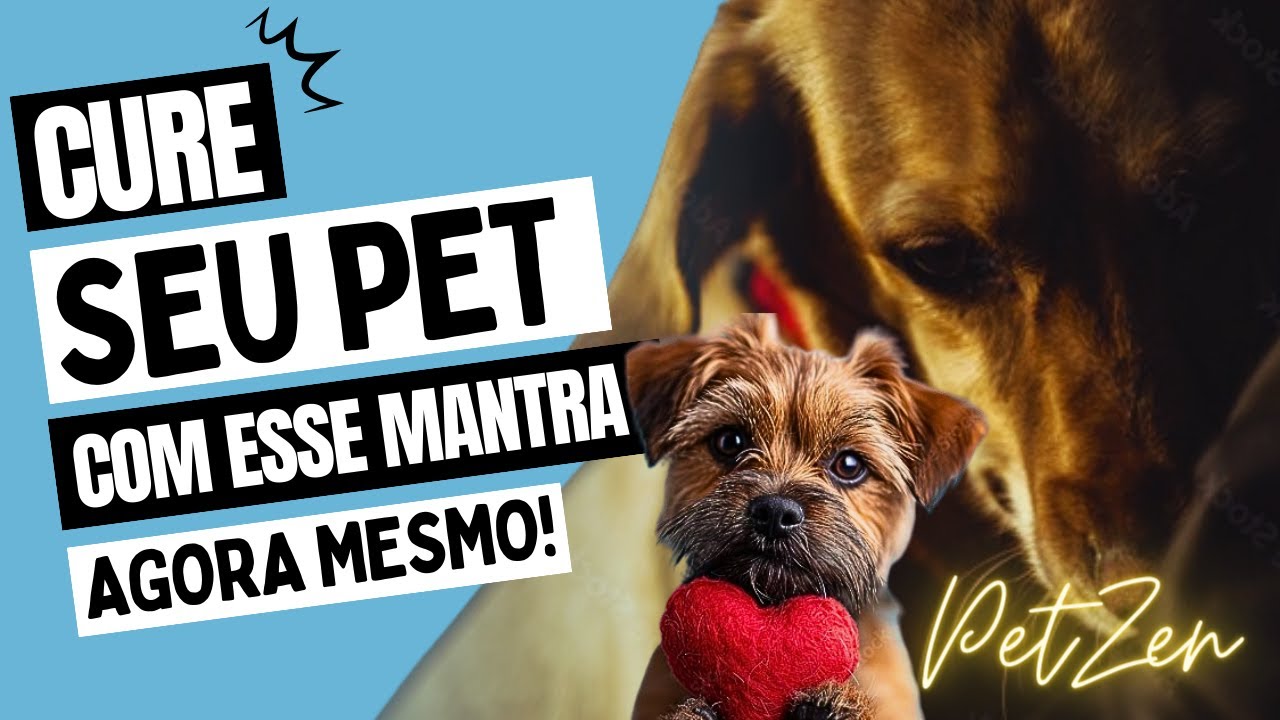 ATENÇÃO OUÇA COM ELE "MANTRA PARA CURAR SEU PET"