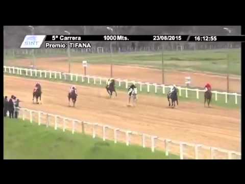 5° Carrera - 1° Mark Andino (SINT-Melo)