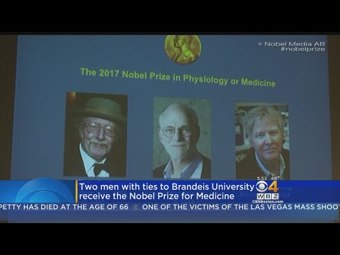 2 Men With Ties To Brandeis University Receive Nobel Prize For Medicine