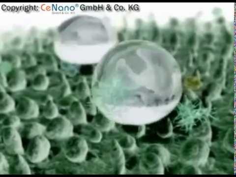 Wie funktioniert der Lotuseffekt? (www.cenano.de)