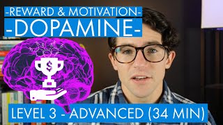 Dopamine, Motivation, and Reward (prediction error signaling) - Level 3 (Advanced)
