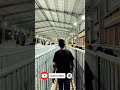 Teri Daya Par Ye Jeevan Hai Mera Status Subscribe Viral
