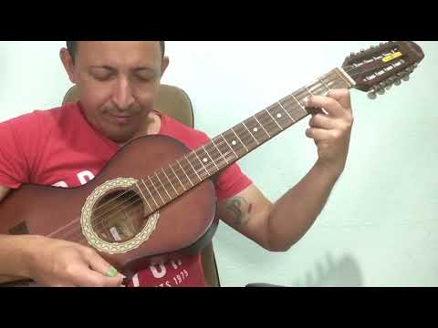 Arroz à Carreteiro - Tião Carreiro e Pardinho