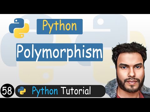 58 Intro Polymorphism In Python Python Tutorial
