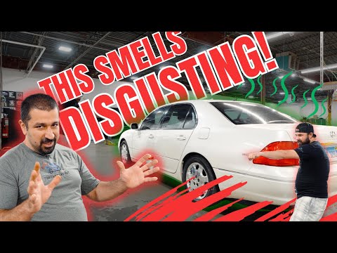 SAVING @TheCarCareNut 's 600k Mile Lexus. IS IT POSSIBLE? | Overview