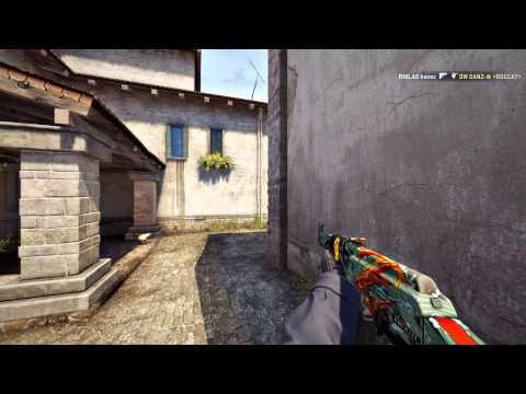 FACEIT League 2015 Stage 2: Havoc vs. Dire Wolves