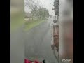 CRANE ON HIS WAY IN HEAVY RAIN