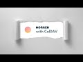 Self Host CalDAV Server Via Docker Integrate With Morgen Calendar