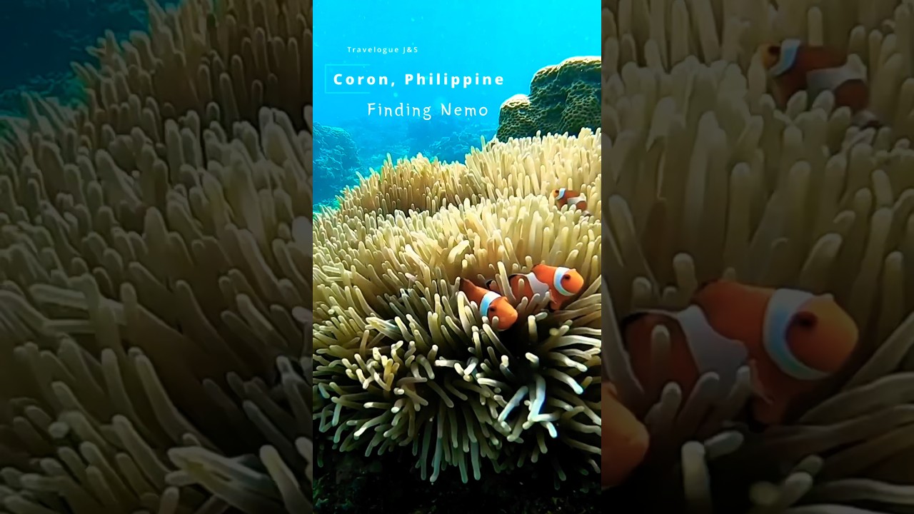 YouTube Short thumbnail