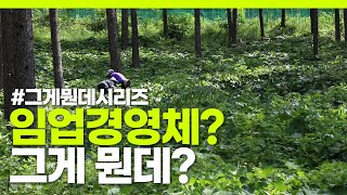 [#그게뭔데 ③​] 임업경영체? 임업경영체 등록하고 혜택받아가세요