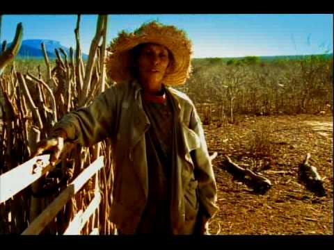 Viva São João! - parte 9