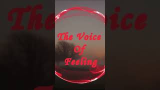 Kimya Dawson- My heroes