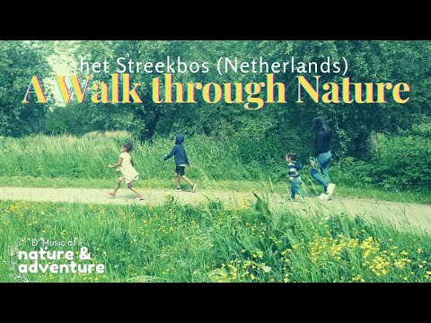 A Walk through Dutch Forest Park with best Jazz Music | tips EN trips