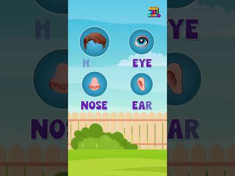 Body Parts Song for Kids | Fun & Easy Learning for Toddlers | Preschool Learning video thumbnail
