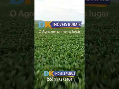 🚜 Fazendas à Venda e Arrendamento no RS | Oportunidades para Investidores e Produtores 🌾