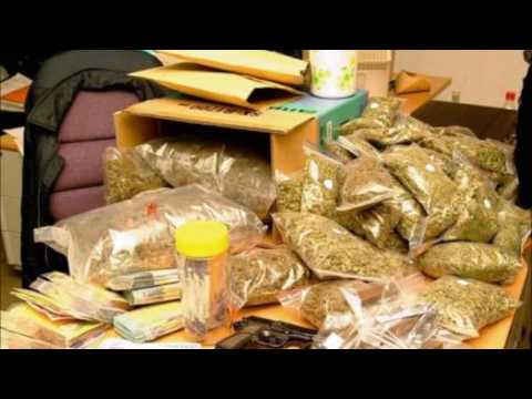 Alpha 5.20 Sambastos Zehef Guerre et Paix sans morsay