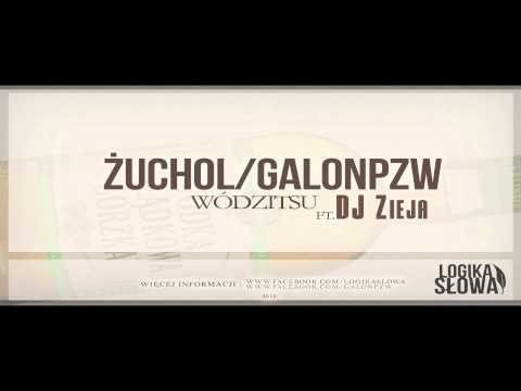 Żuchol, GalonPZW ft.DJ Zieja - Wódzitsu (spontan)