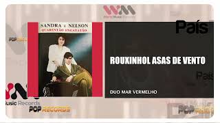 Sandra E Nelson - Rouxinol Asas De Vento