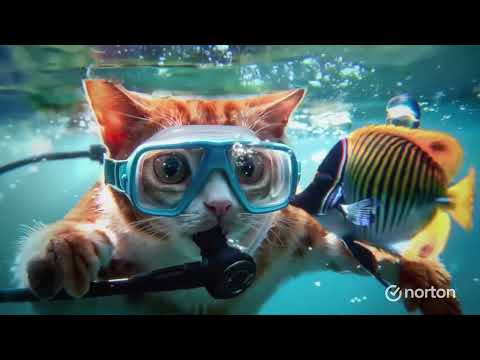 AI-powered Norton 360 with Genie has taken our protection to the next level