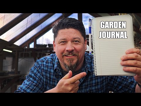 How To Grow Rosemary From Cuttings Two Ways BOTH Easy