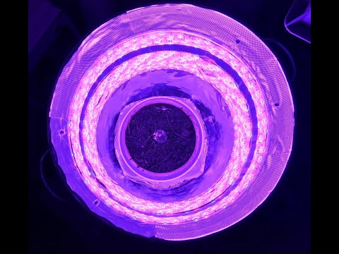 DIY HIDDEN Smart Grow Box BIN for growing.