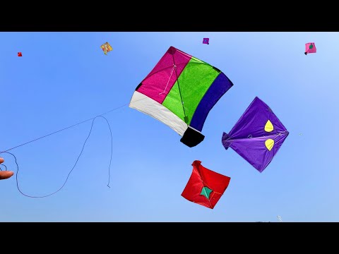 Kite Flying On HOLI | Kite Fighting | Kite Cutting | Kite