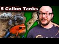 5 Reptiles That Can Live in 5 Gallon Enclosures FOREVER | Micro Reptile Enclosures