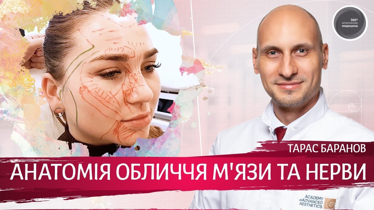 Анатомия Лица для Косметологов ► Мышцы и нервы